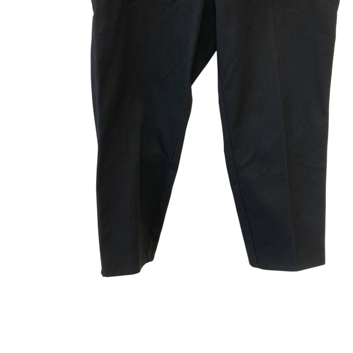 10L DICKIES TC PANTSパンツ25SB-4529 - Image 4