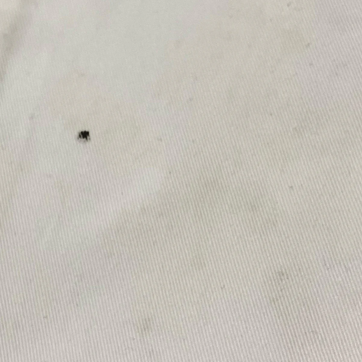 ペインターパンツ678024 - Image 10